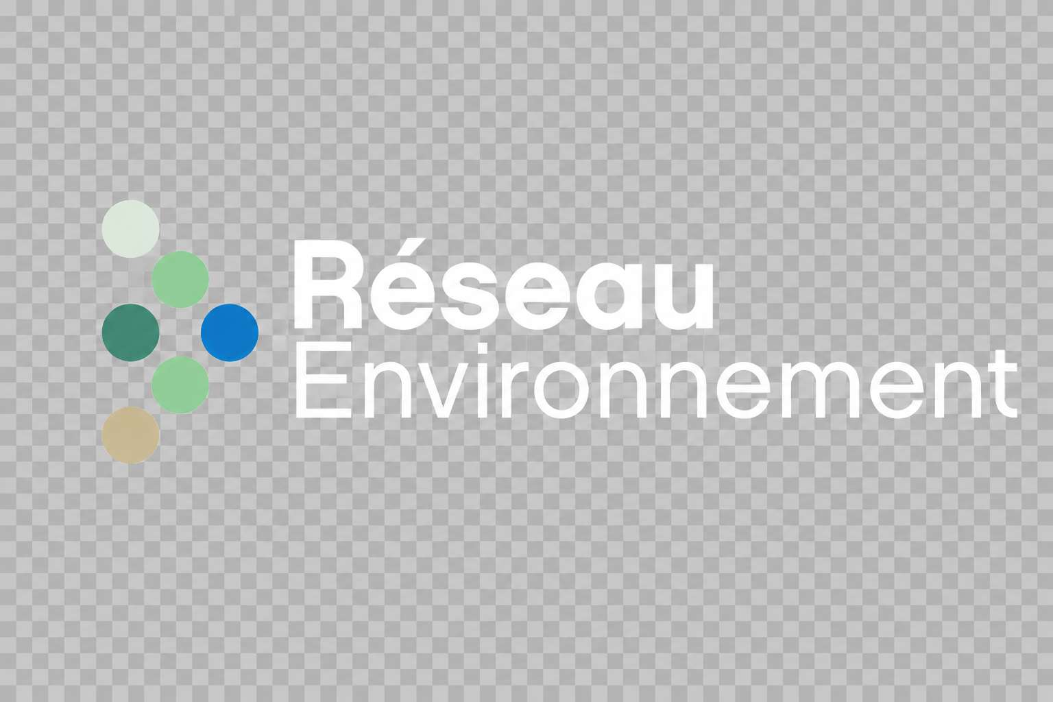 Logo Réseau Environnement